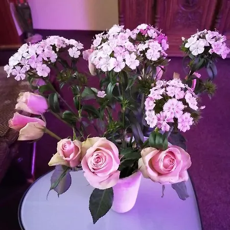 Hotel Riverside In Hitdorf Am Rhein - Zentral An Der A1 Und 59 3*