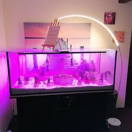 酒店 Riverside In Hitdorf Am Rhein - Zentral An Der A1 Und 59 3*