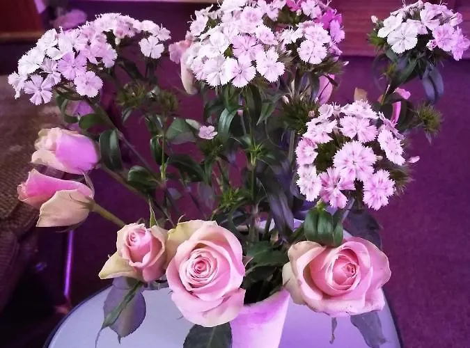 Ξενοδοχείο Riverside In Hitdorf Am Rhein - Zentral An Der A1 Und 59 3*