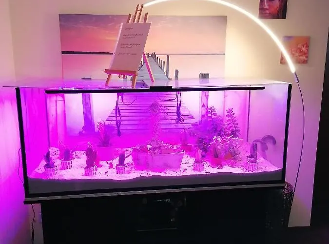 فندق Riverside In Hitdorf Am Rhein - Zentral An Der A1 Und 59 3*